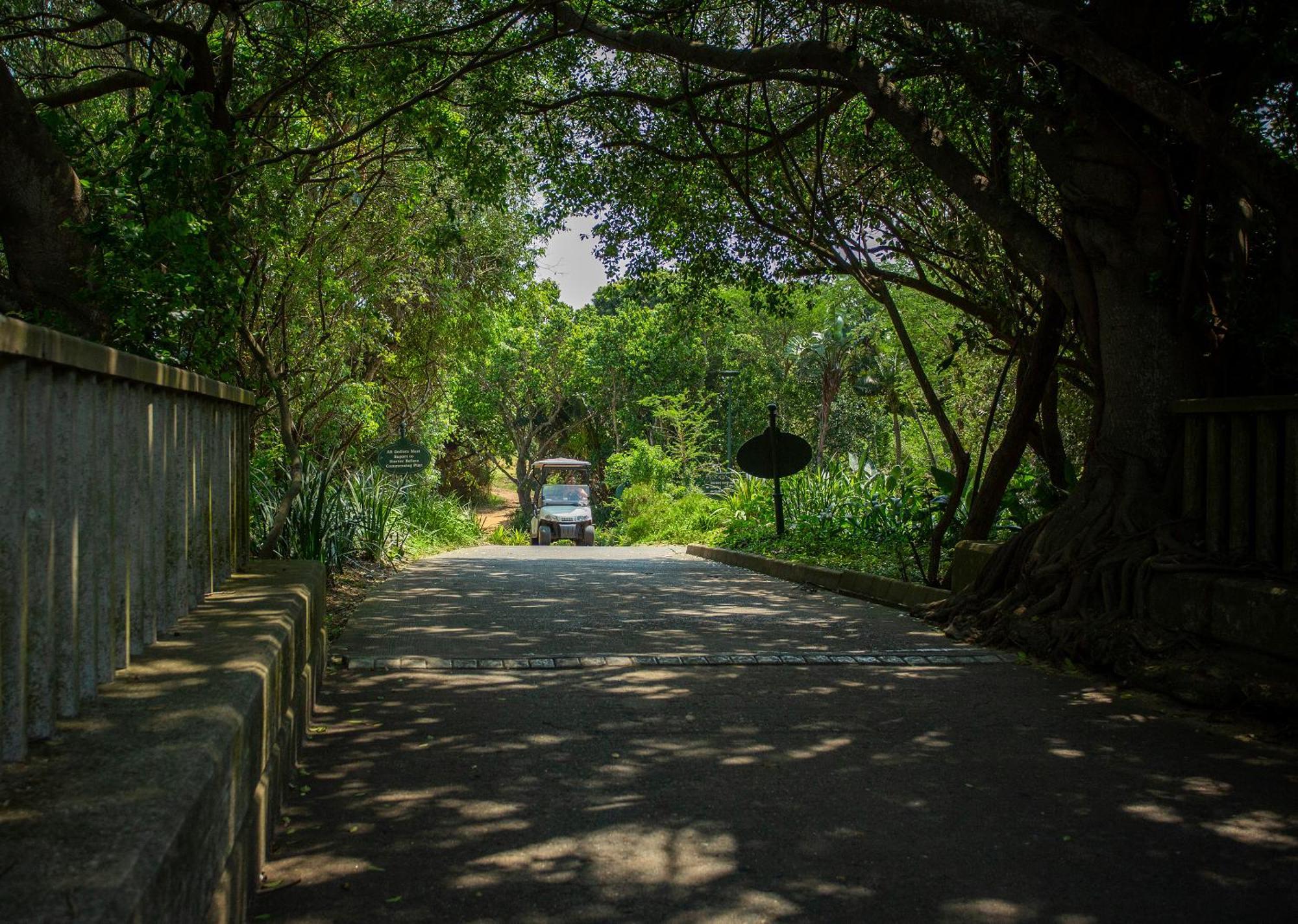 Zimbali Lodge By Dream Resorts uMhlali Eksteriør billede